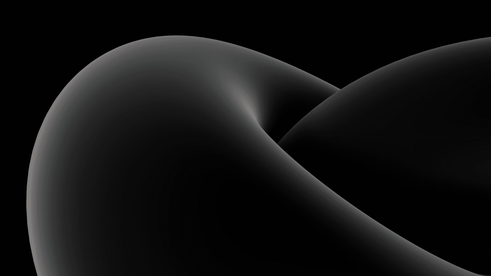 Abstract 3D twisted dark torus sculpture on a black background